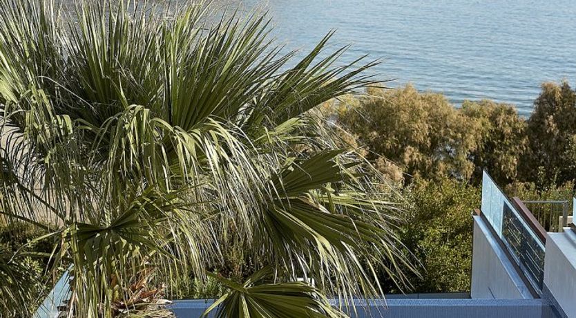 Photo of The Platinum Flame