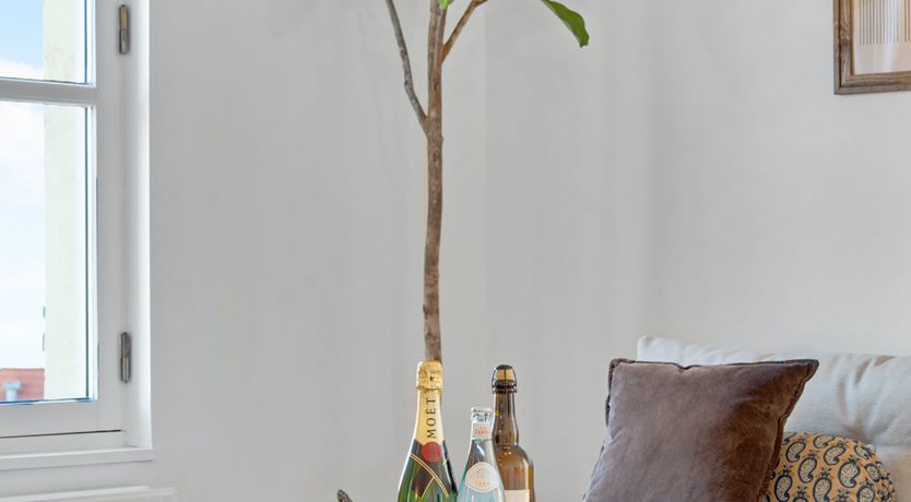 Photo of Transitions in Pink