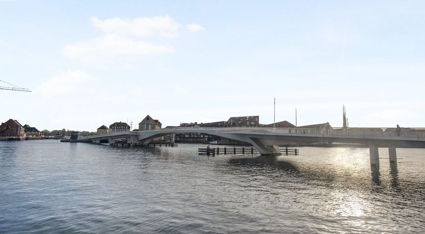 Photo of Transitions in Pink