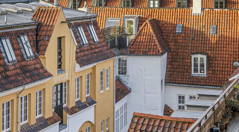 Photo of Transitions in Pink