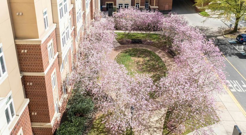 Photo of Queenly Quarters of Charlotte