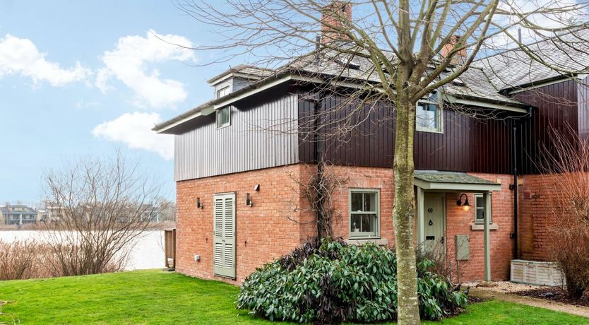 Photo of Honeycomb Mint