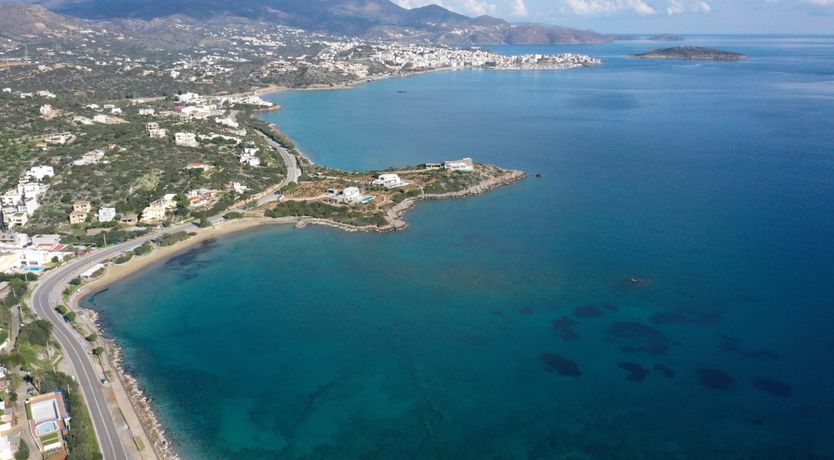 Photo of The Ocean Bloom