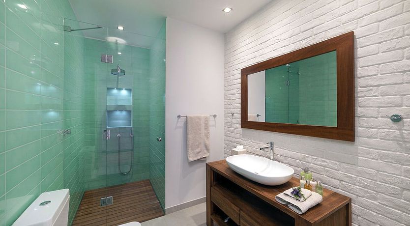 Photo of Lotus Shades