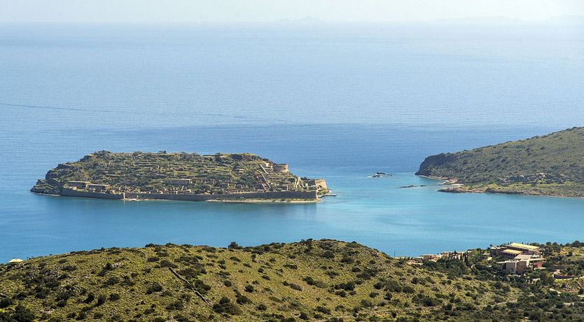 Photo of Lotus Shades