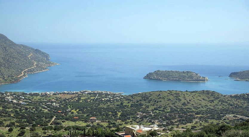 Photo of Lotus Shades