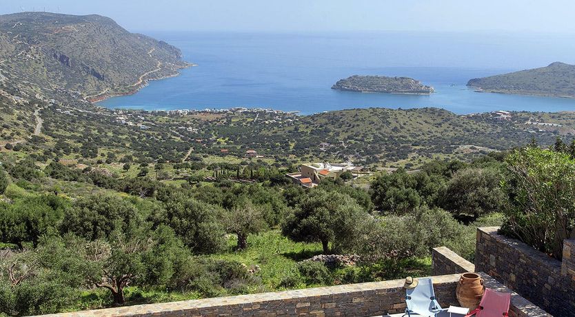 Photo of Lotus Shades