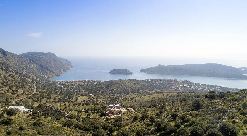 Photo of Lotus Shades