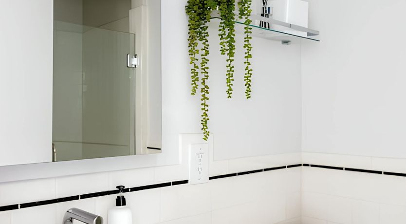 Photo of Oasis Haven