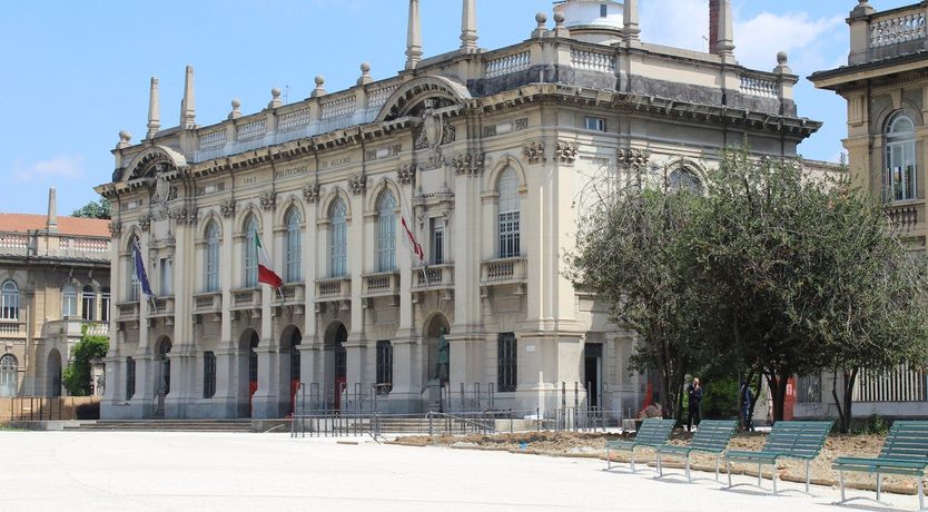 Photo of Iconic Trainer