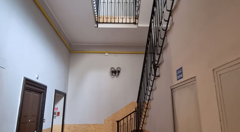 Photo of Iconic Trainer