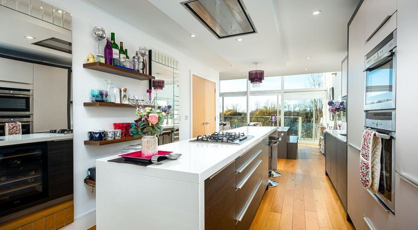 Photo of Oak by the Lake