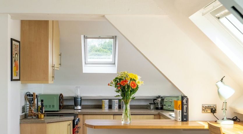 Photo of Where the Stars Shine