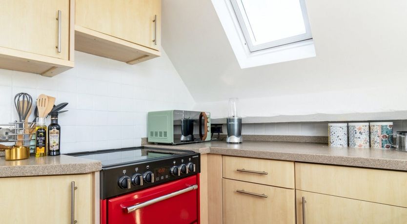 Photo of Where the Stars Shine