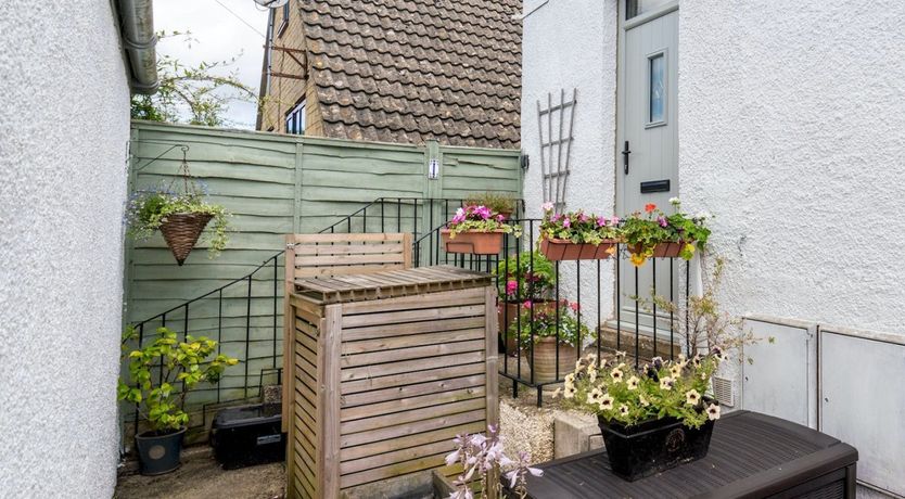 Photo of Where the Stars Shine