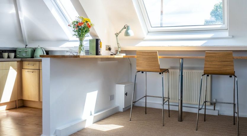 Photo of Where the Stars Shine