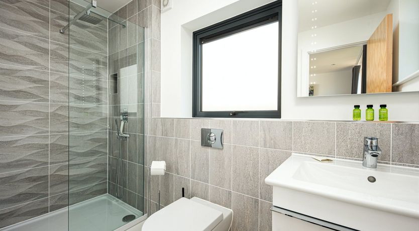 Photo of Honeycomb Dove