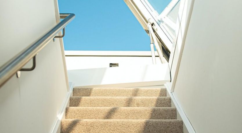 Photo of Honeycomb Dove