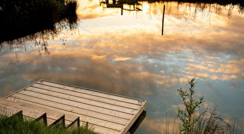 Photo of Honeycomb Dove