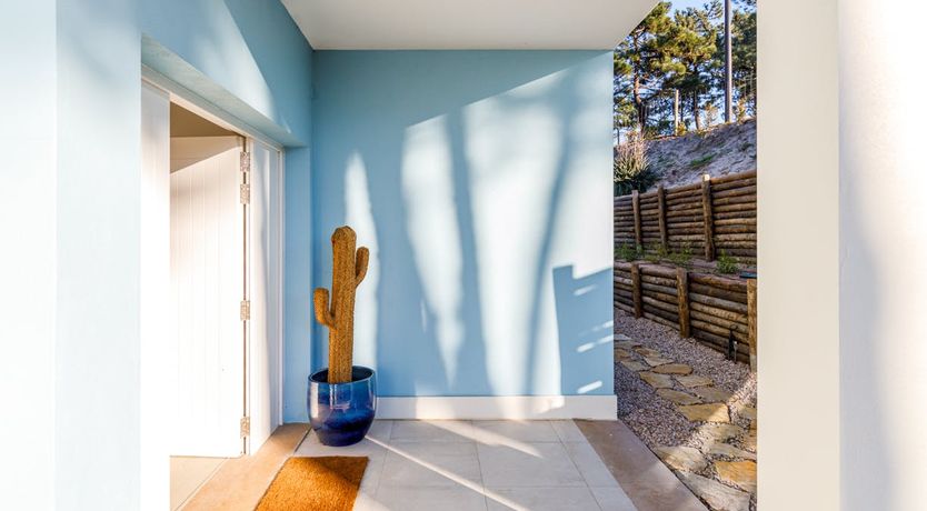 Photo of The Stone Blue