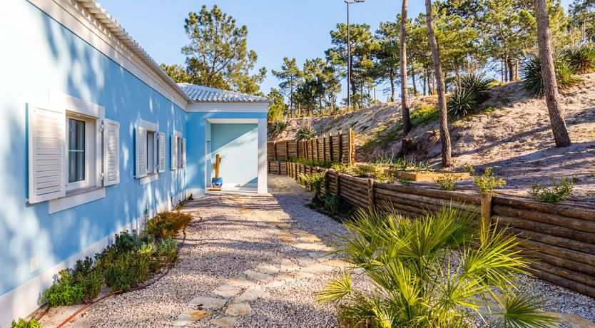 Photo of The Stone Blue