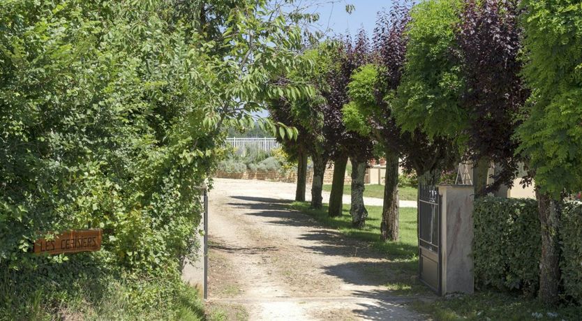 Photo of The Green Tranquility