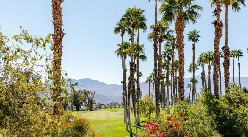 Photo of Palm Living