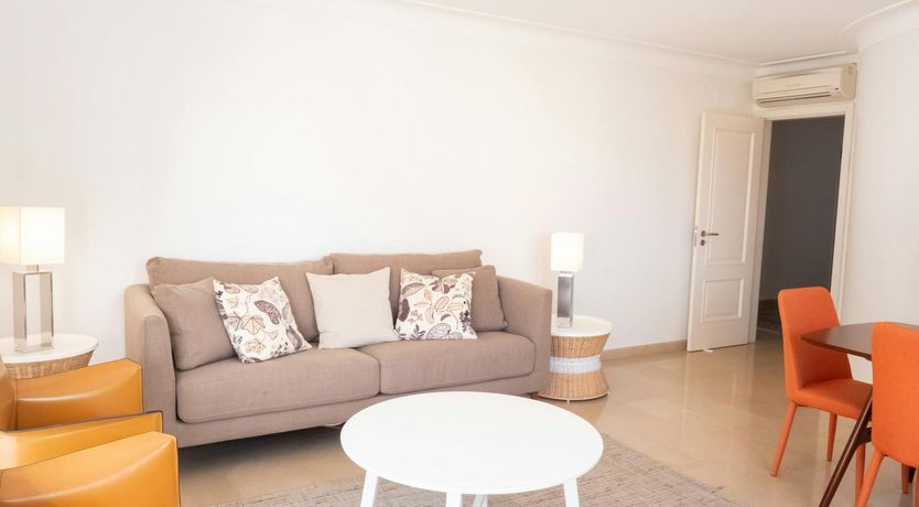 Photo of The Dreamer's Pal