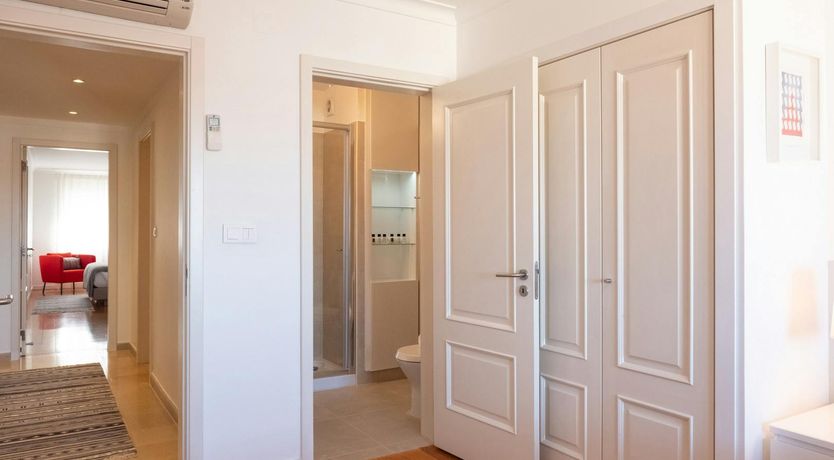 Photo of The Dreamer's Pal