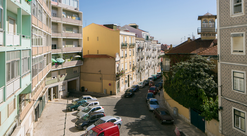 Photo of The Dreamer's Pal