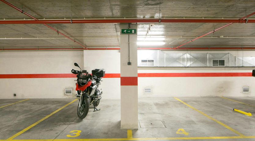 Photo of The Dreamer's Pal