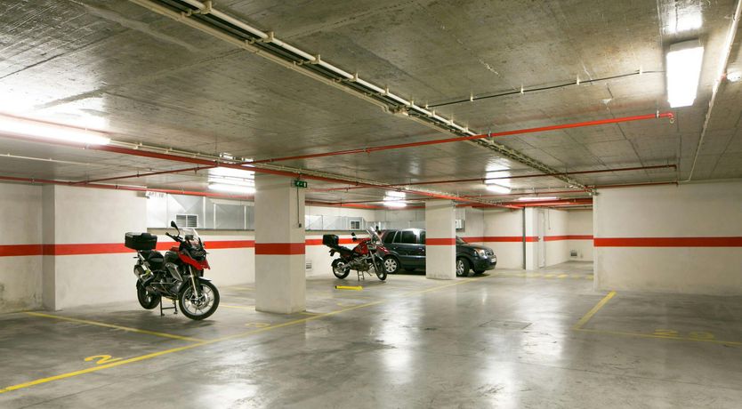 Photo of The Dreamer's Pal