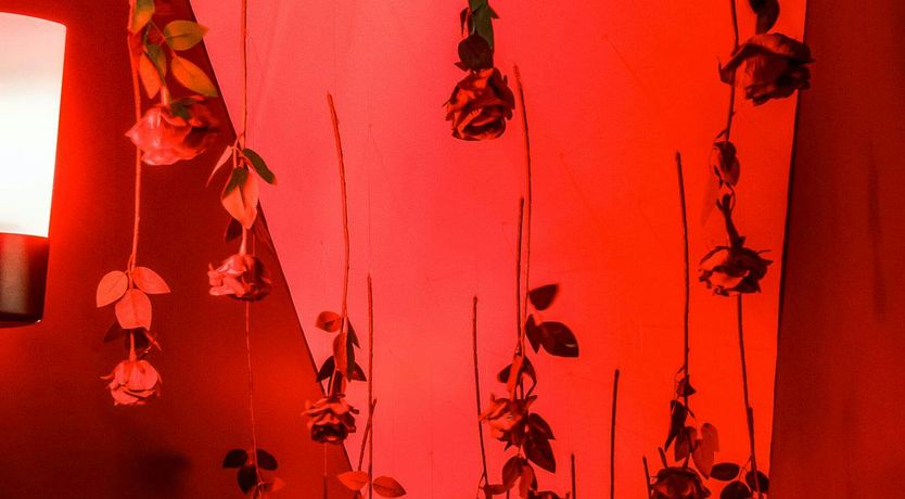 Photo of Rooftop Rhapsody