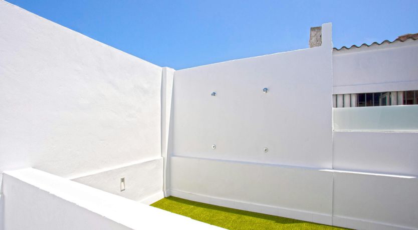 Photo of Palms and Skylights