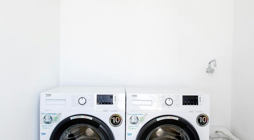 Photo of Palms and Skylights