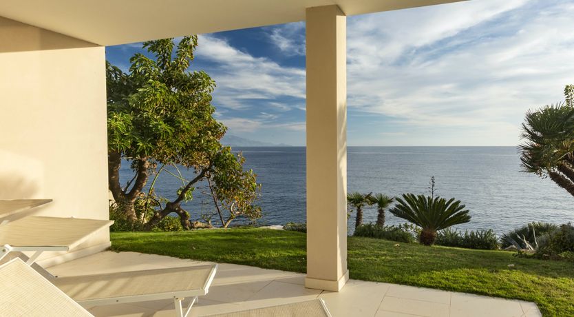 Photo of The Scent of Agave