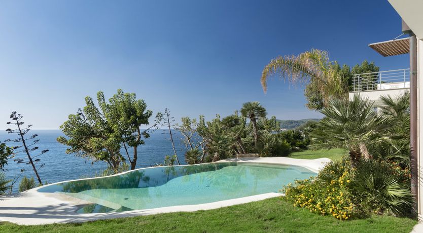 Photo of The Scent of Agave