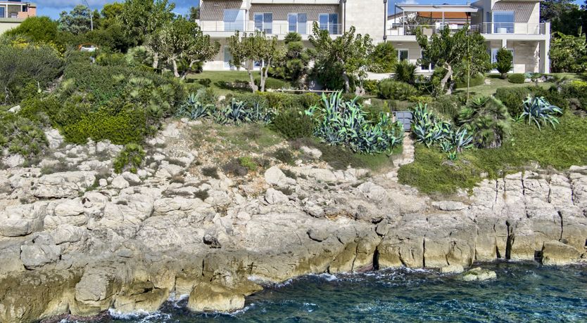 Photo of The Scent of Agave