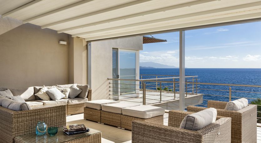 Photo of The Scent of Agave