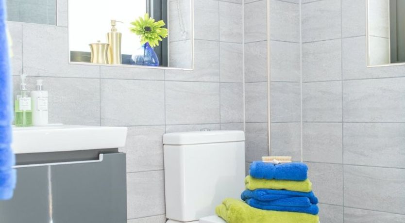 Photo of The Dorset Bloom