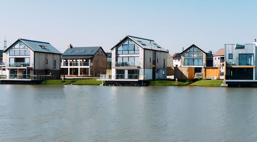 Photo of The Dorset Bloom