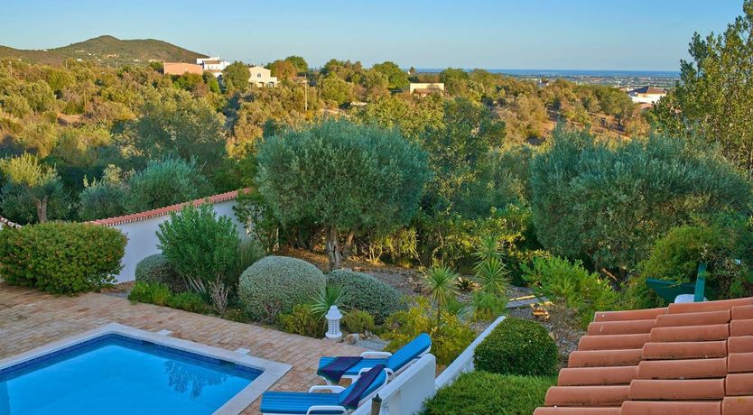 Photo of Surf the Soul