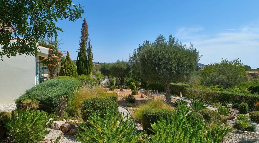 Photo of Surf the Soul