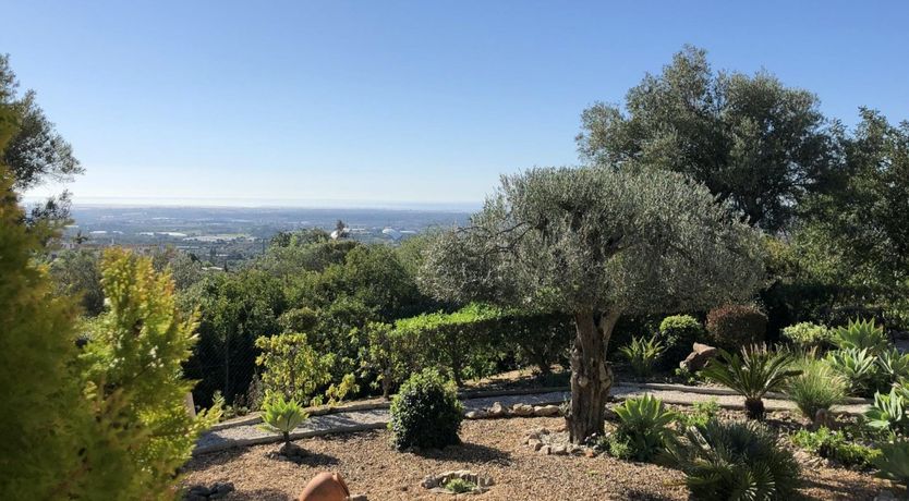 Photo of Surf the Soul