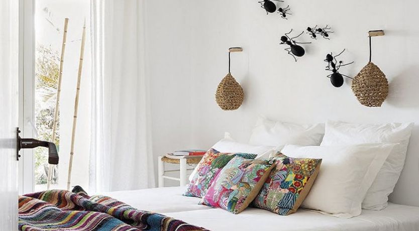 Photo of The Apricot Tree