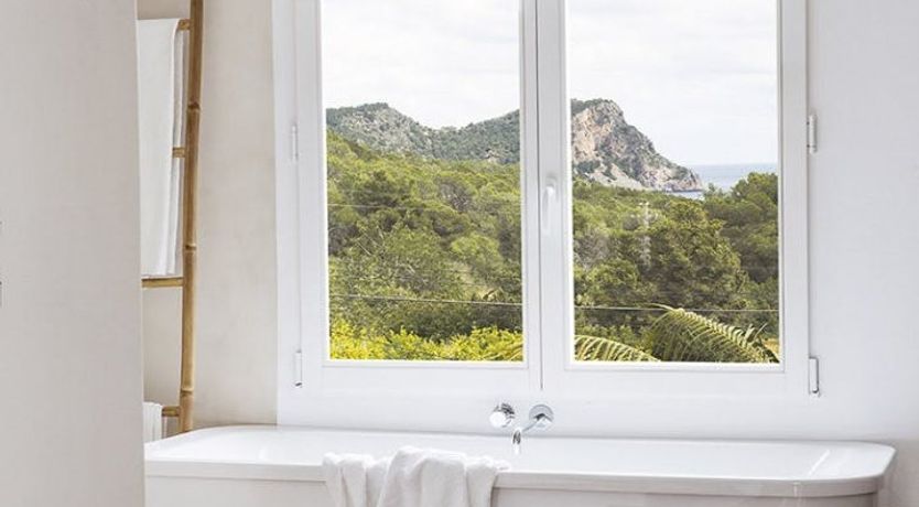 Photo of The Apricot Tree