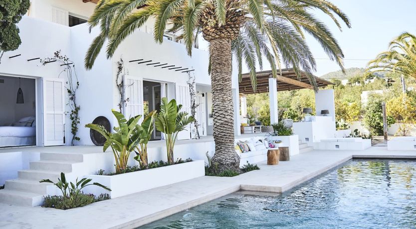 Photo of The Apricot Tree