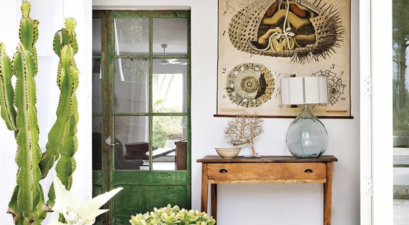 Photo of The Apricot Tree