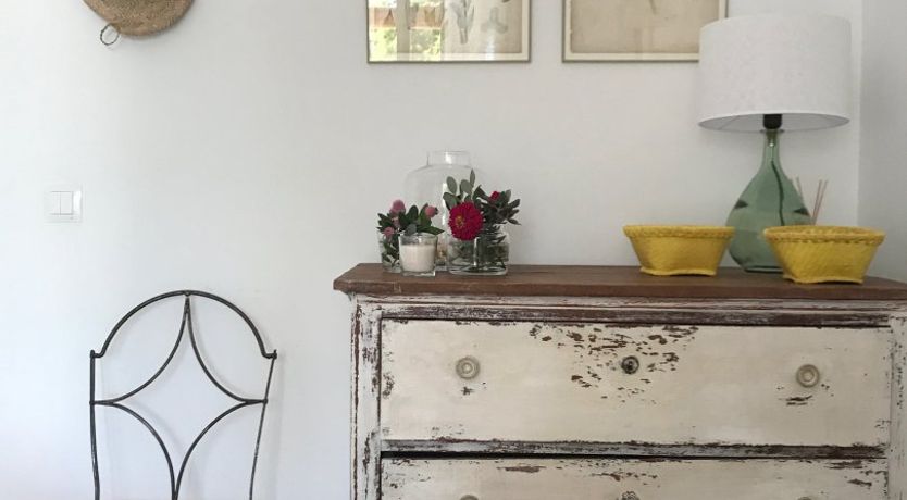 Photo of The Apricot Tree