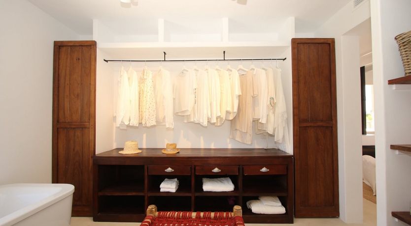 Photo of The Apricot Tree